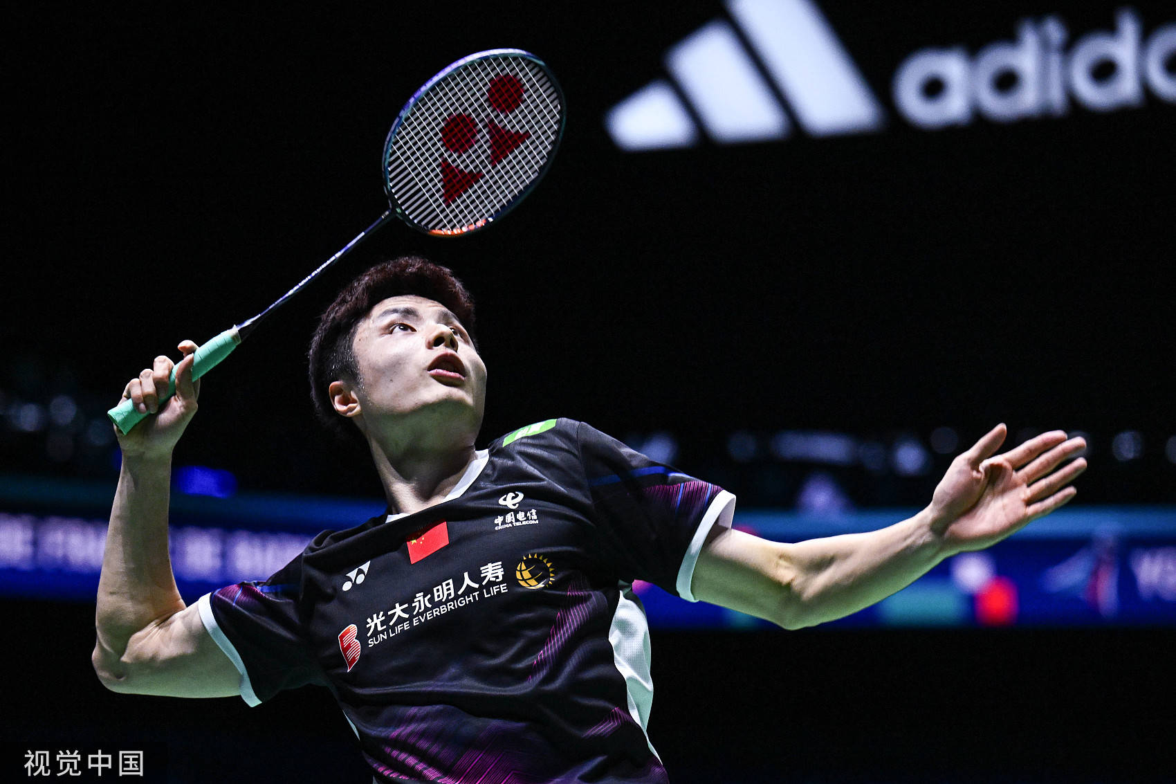 迅速建立起 迅速建立起